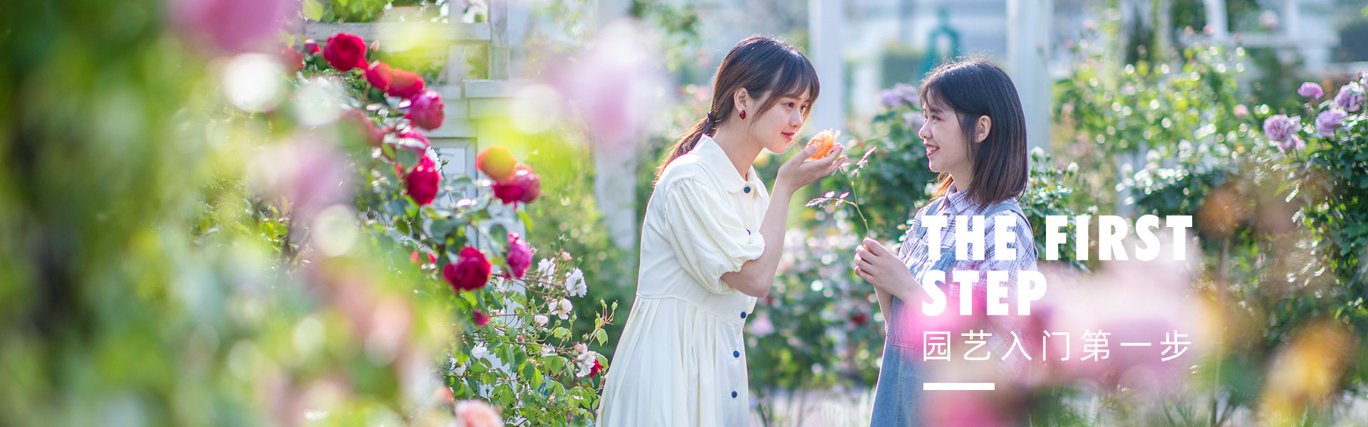 Video Center-Gardening Ideas-Hongyue Flower Co., Ltd.