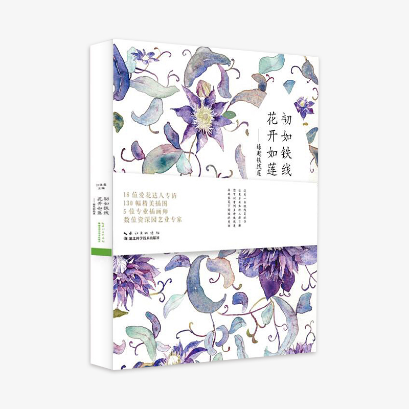 《韧如铁线，，，，花开如莲》